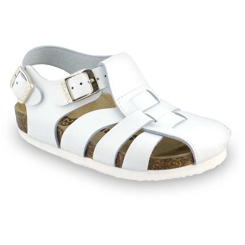 Papilio - 0422350