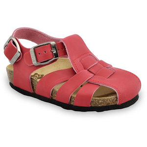 Papilio - 0422350