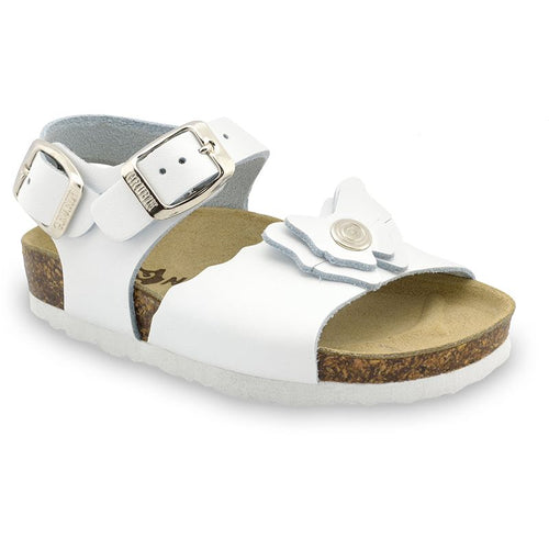 Butterfly Kast - 1092350